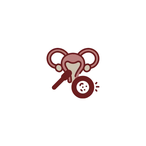 2.webp
